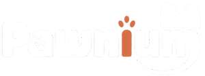 pawnium logo