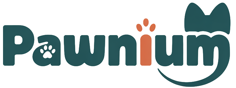 pawnium.com