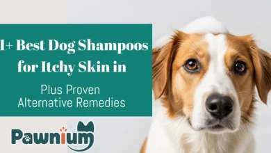 11+ Best-Dog-Shampoos-for-Itchy-Skin