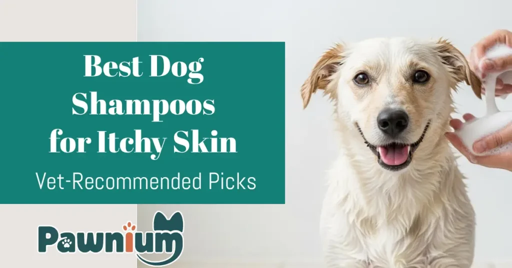 Best Dog Shampoos for Itchy Skin_ Vet-Recommended Picks