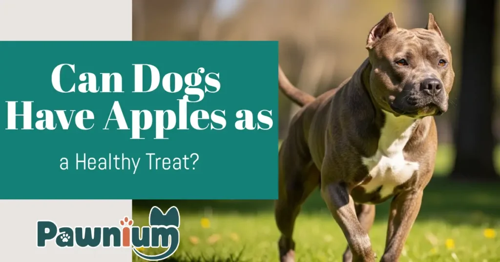 Can Dogs Eat Apples