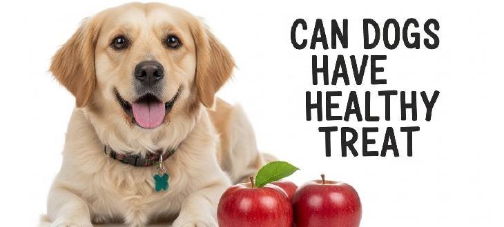 Can Dogs Have Apples as a Healthy Treat