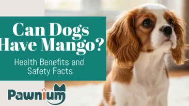 Can Dogs Have Mango
