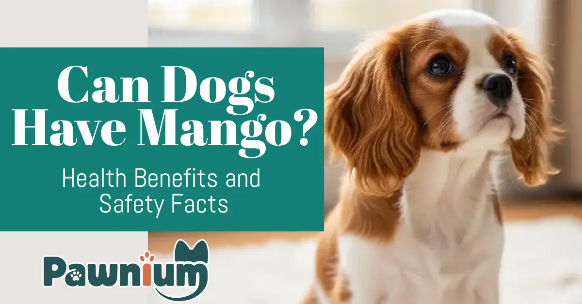Can Dogs Have Mango