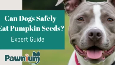 Can Dogs Safely Eat Pumpkin Seeds? Expert Guide