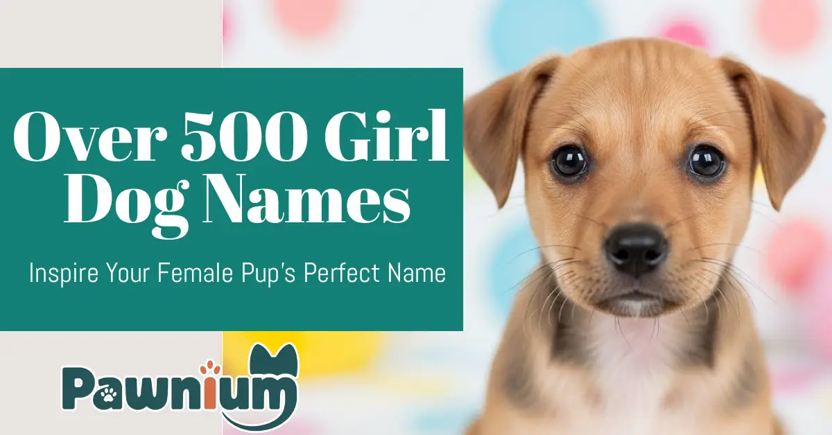 Over 500 Girl Dog Names