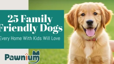 25 Family-Friendly Dogs