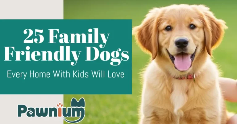 25 Family-Friendly Dogs