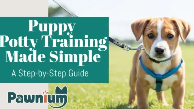 Puppy Potty Training Made Simple
