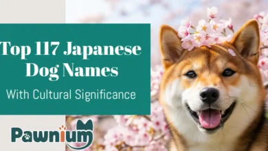 Top 117 Japanese Dog Names