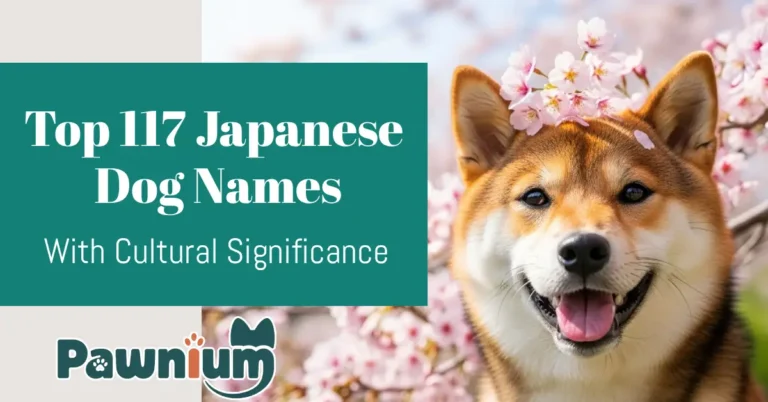 Top 117 Japanese Dog Names