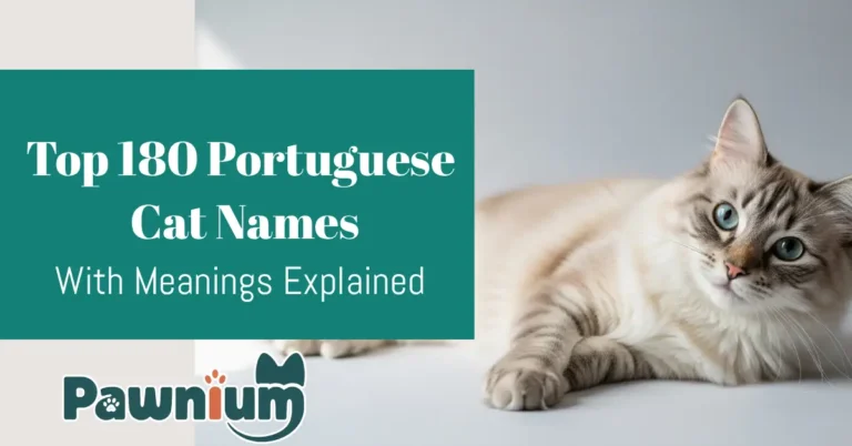 Top 180 Portuguese Cat Names