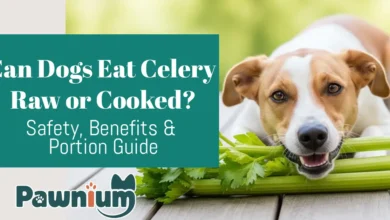Can Dogs Eat Celery Raw or Cooked?
