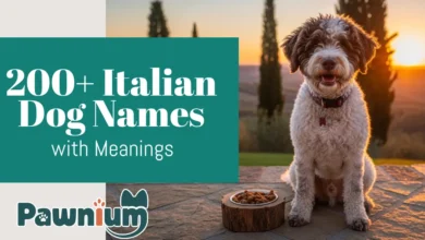 italian dog names with meaning