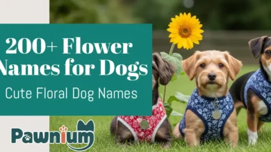 200+ Flower Names for Dogs