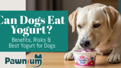 Can Dogs Eat Yogurt?