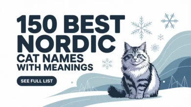 150 Best Nordic Cat Names With Meanings