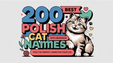 200 Best Polish Cat Names With Meanings