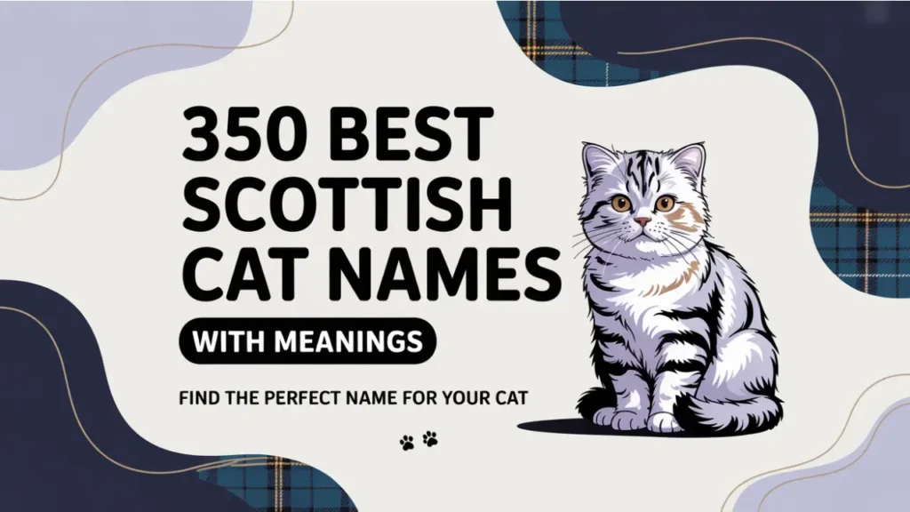 200 Best Scottish Cat Names With Meanings
