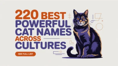 220 Best Powerful Cat Names Across Cultures