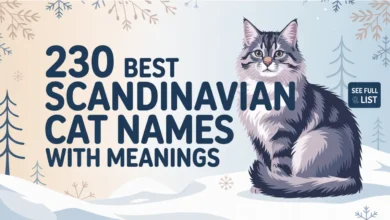 230 Best Scandinavian Cat Names With Meanings