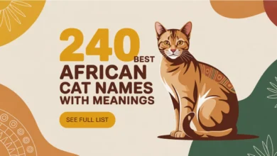 240 Best African Cat Names With Meanings