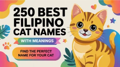 250-Best-Filipino-Cat-Names-With-Meanings