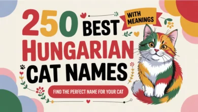 250 Best Hungarian Cat Names With Meanings