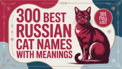 300 Best Russian Cat Names With Meanings