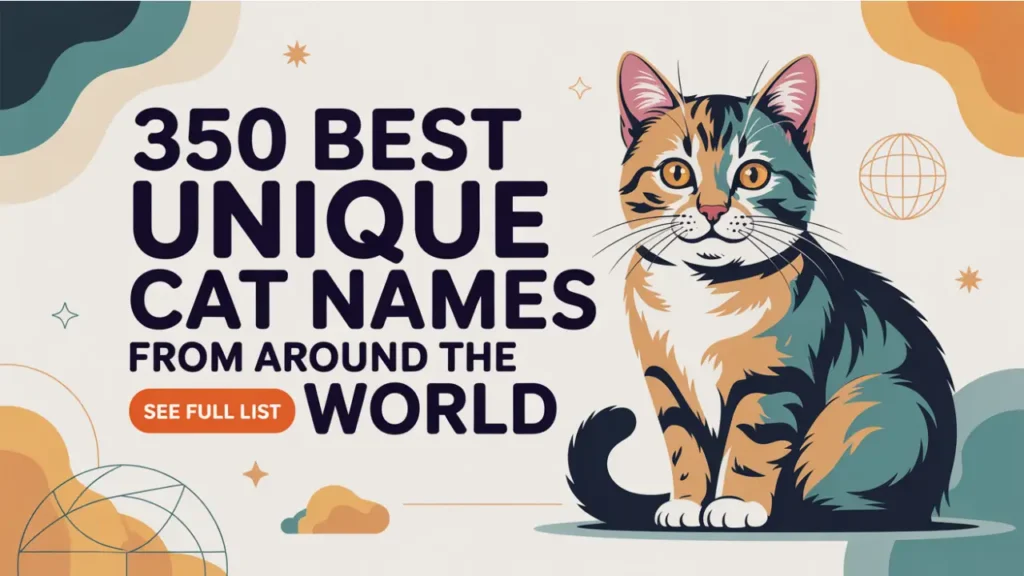 350 Best Unique Cat Names From Around the World for cute, rare, and meaningful cats. Explore global pet name ideas.