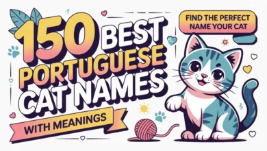 150 Best Portuguese Cat Names With Meanings